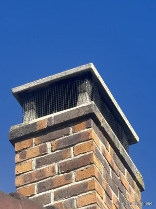 Grillage anti-oiseau posé sur une souche